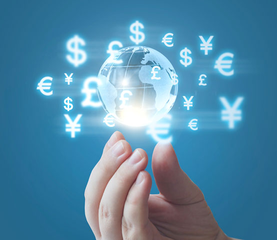 About Expert NRI